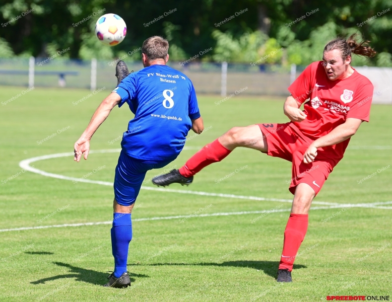 FV-Blau-Weiss-Briesen-II-Boossen-Auftakt-016