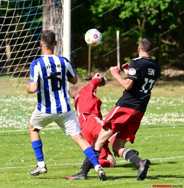 FV-Blau-Weiss-Klosterfelde20-033
