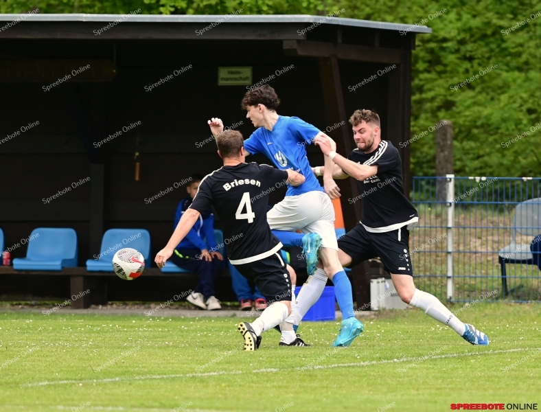 FV-BW-Briesen-II-BW-Ziltendorf-013