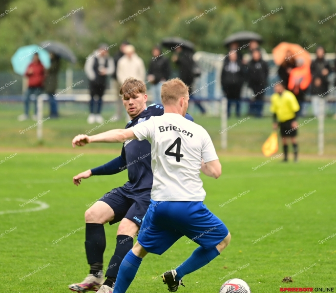 FV-BW-Briesen-II-VfB-Steinhofel-Viertelfinale-Pokal-021