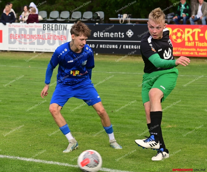 FV-BW-II-Reichenberger-SV-010