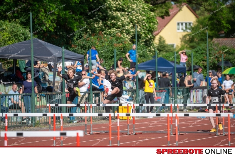 Spreebote-Gaselanpokal-wachst_gallery1_01