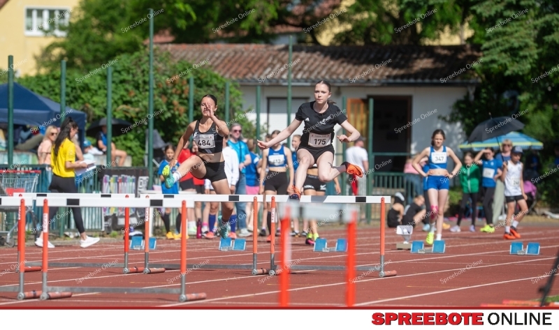 Spreebote-Gaselanpokal-wachst_gallery1_03