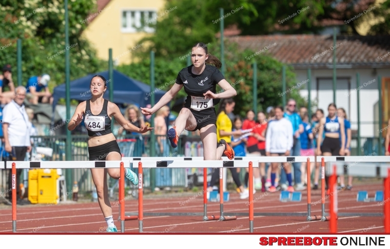 Spreebote-Gaselanpokal-wachst_gallery1_04