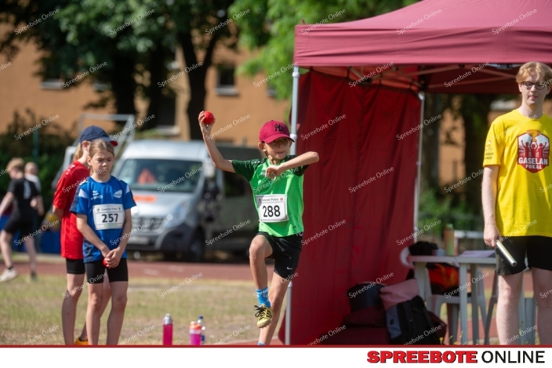 Spreebote-Gaselanpokal-wachst_gallery1_10