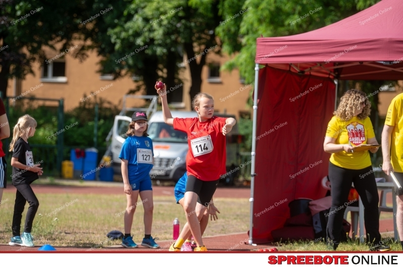 Spreebote-Gaselanpokal-wachst_gallery1_11