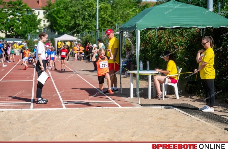 Spreebote-Gaselanpokal-wachst_gallery1_12