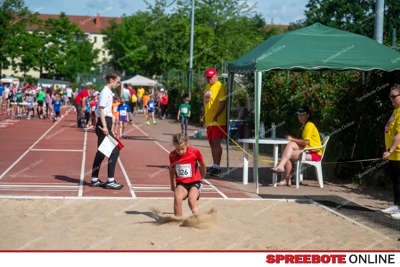 Spreebote-Gaselanpokal-wachst_gallery1_14