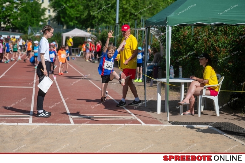 Spreebote-Gaselanpokal-wachst_gallery1_15