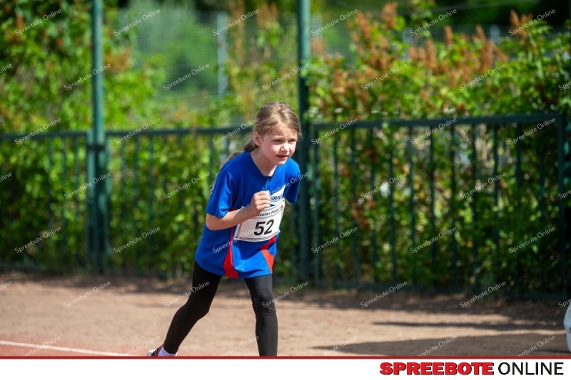 Spreebote-Gaselanpokal-wachst_gallery1_16