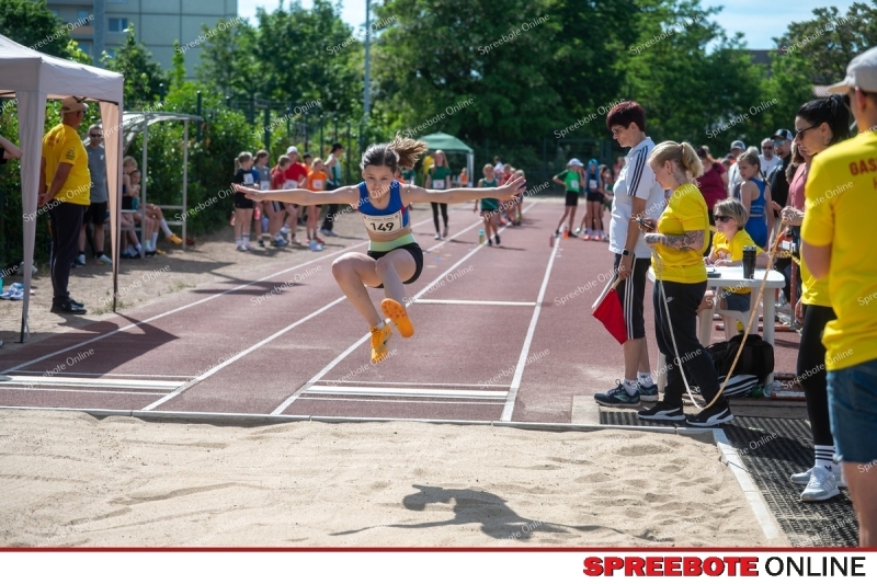 Spreebote-Gaselanpokal-wachst_gallery1_21