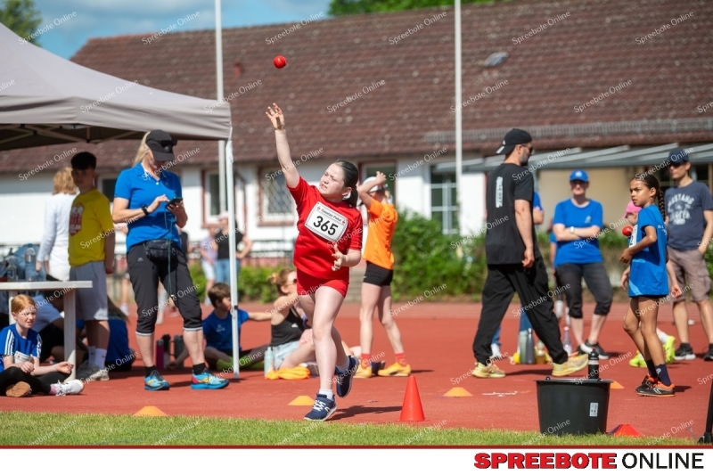 Spreebote-Gaselanpokal-wachst_gallery1_23