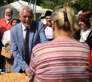 28.Stadtfest-Erkner-Rathauspark-06