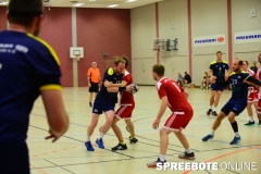 Handball-Pneumant-Friedland-2