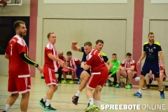 Handball-Pneumant-Friedland-3