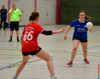 Handball-Verbandsliga-Nord-der-Frauen-04-scaled