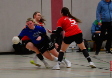 Handball-Verbandsliga-Nord-der-Frauen-28-scaled