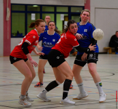 Handball-Verbandsliga-Nord-der-Frauen-34-scaled