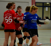Handball-Verbandsliga-Nord-der-Frauen-37-scaled