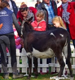 spreebote-Helios-Kinderfest-234