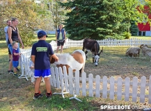 spreebote-Tag-off-Helios-136