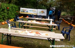 spreebote-Kuerbis-Olli-Family-Day-13