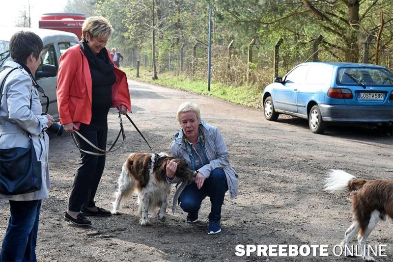 Füwa-Hundeplatz-3