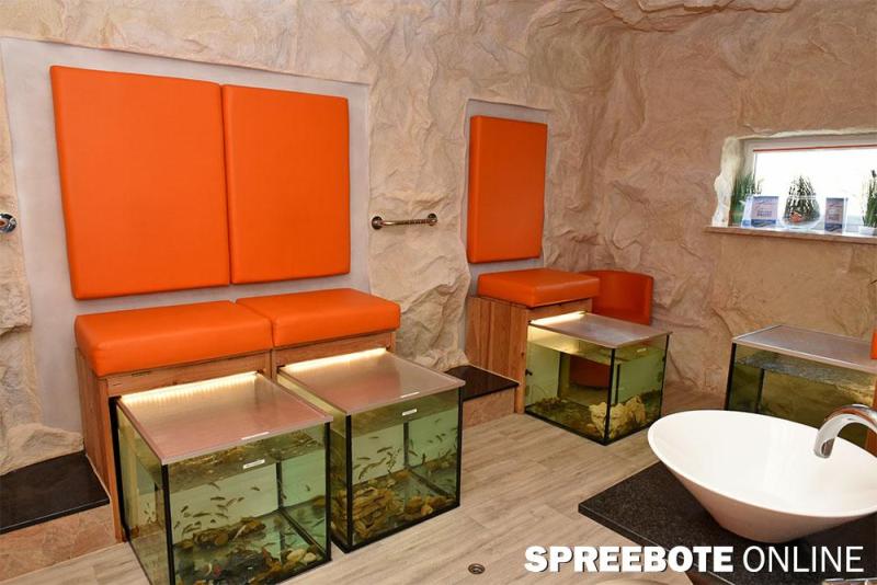 Schwapp-Fischi-00004