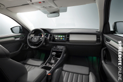 spreebote-auto-SKODA_KODIAQ-4