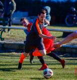 Kopf-an-Kopf-Rennen-18-scaled