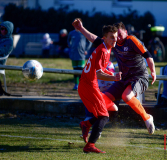 Kopf-an-Kopf-Rennen-26-scaled