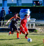 Kopf-an-Kopf-Rennen-29-scaled