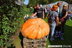 spreebote-Kuerbis-Olli-Hoffest-18