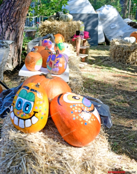 Spreebote-Kurbisfest-Trodel-004