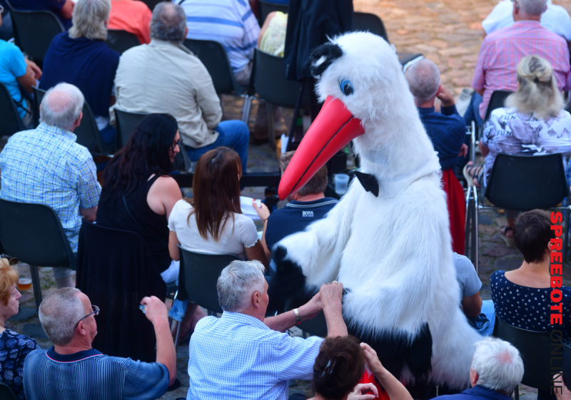 18.Benefizkonzert-Burg-Storkow-13