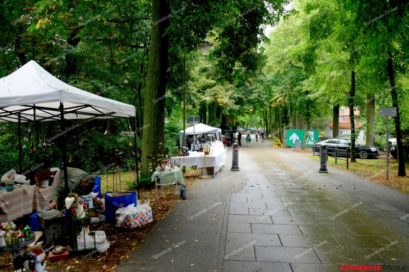Spreebote-Kunstmarkt-Bad-Saarow-001