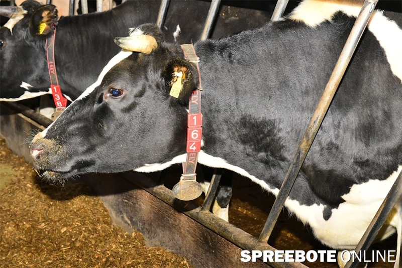 Landrat-Landwirte-Tour-7