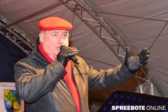 spreebote-Erkner-Lichterfest-37