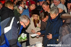 spreebote-Erkner-Lichterfest-41