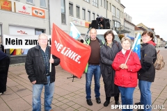 spreebote-die-linke-kurden_2325