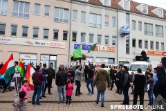 spreebote-die-linke-kurden_2328