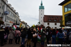 spreebote-die-linke-kurden_2332