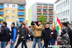 spreebote-die-linke-kurden_2340