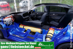 spreebote-auto-Toyota-Mirai-II-37-1