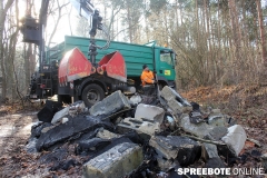 Furstenwalde-_Wald_1