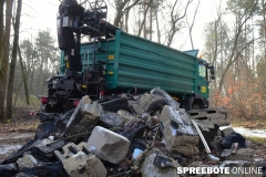 Landrat-der-Muell-11