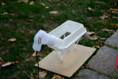 Rahn-kulturelles-Campusfest-205