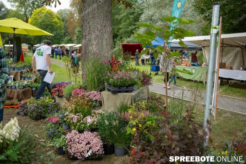 Spreebote-Natur-Entdecken-und-Erleben_gallery1_01