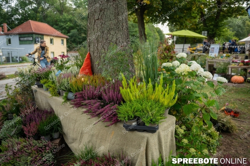 Spreebote-Natur-Entdecken-und-Erleben_gallery1_02