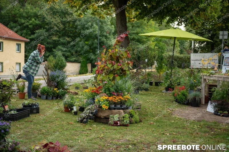 Spreebote-Natur-Entdecken-und-Erleben_gallery1_03
